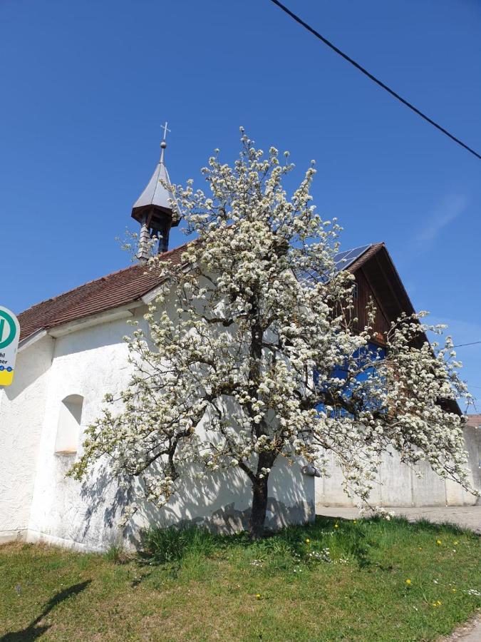 Ferienwohnung Rupp Argenbuhl Экстерьер фото